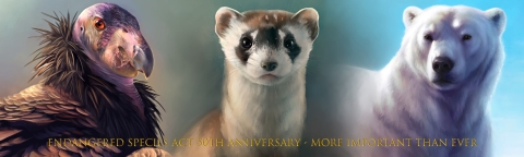 graphic of condor, ferret and polar bear with text that reads endangered species act 50th anniversary, more important than ever