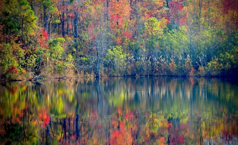  Fall reflections