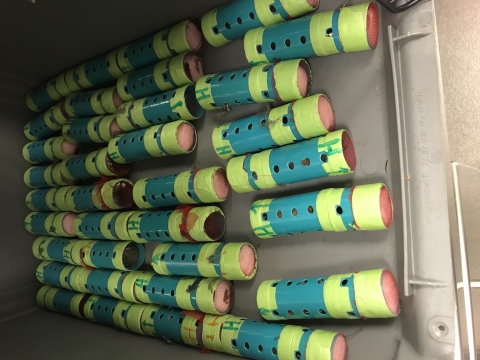 A container filled with plastic hair curlers that have birds stuffed inside