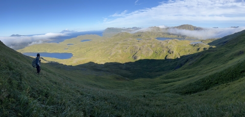 A biologist looks out on the vast Adak landscape