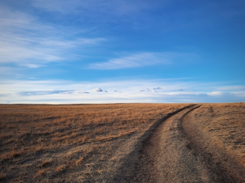 dirt road alongside rust-colored field of grass with big blue sky