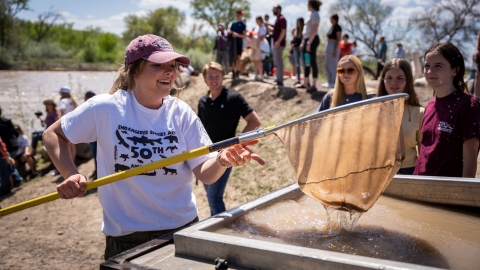 A person holding pulling up a net with razorback sucker in it. Shirt says Endangered Species Act 50th Anniversary