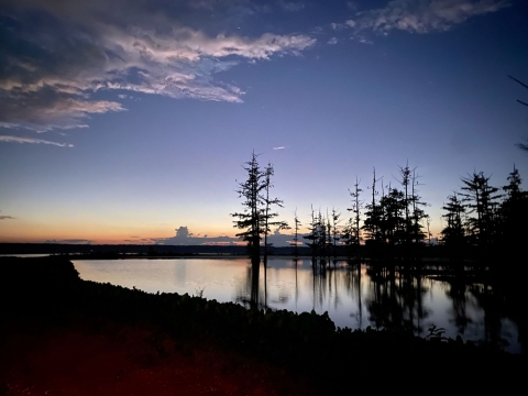 A thin orange band glows above a flat body of water, with some tall trees in the background.