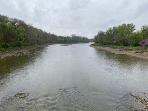 Looking downstream at the free-flowing Eel River following removal of the dam in Logansport