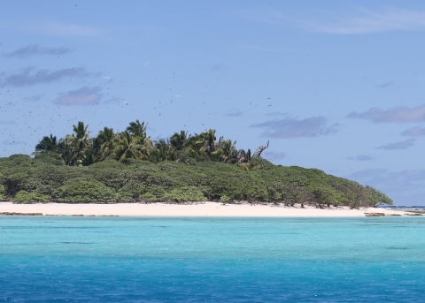A view of Rose Atoll from the ocean. Clear, blue water and a light blue sky accent lush green forests and white sand. 