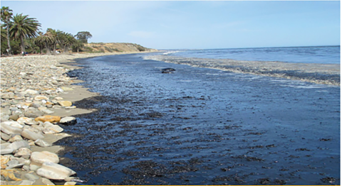 A stretch of beach and coastline affected by an oil spill