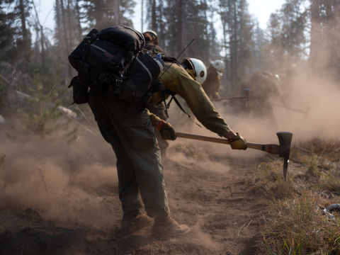 A wildland firefighter bends while using an ax-like tool to dig at the ground.