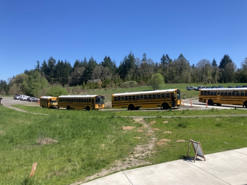 Four buses are parked in a row in a parking lot next to a grassy field.