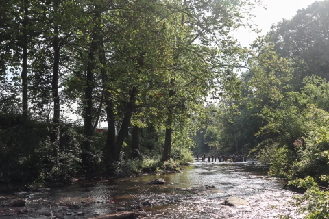 Several people standing in a shallow river that is heavily shaded by trees
