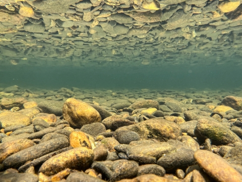 Underwater image of a rock covered stream bottom and its reflection on the river's surface,