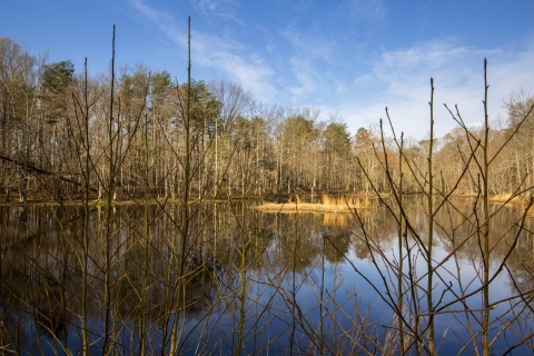 Looking out at a lake surrounded by trees