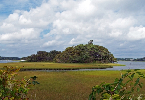 Green-yellow marshes in the foreground lead to a tree-covered island, with a small pier.