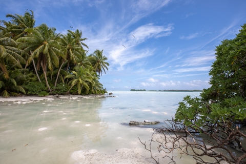 Tropical island scene, with lush greenery surrounded by sands, lagoons and blue sky overhead.
