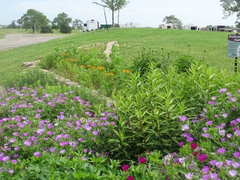 A garden with purple and orange flowers next to an RV campsites on an Air Force Base.