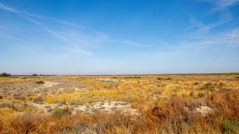 a flat, sparse landscape with low-growing dry yellow and orange plants under a blue sky 