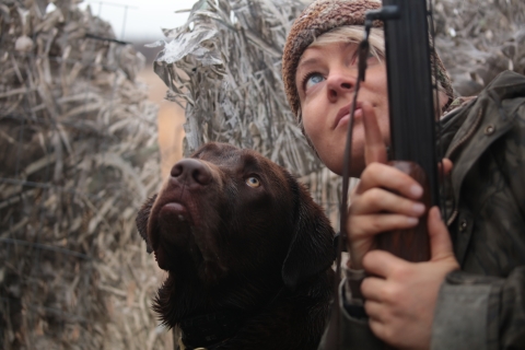 Close up of a chocolate lab and hunter both looking up while in a waterfowl hunting blind.