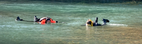Two interns snorkeling in the Big Quilcene River.