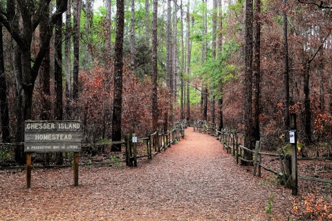 Trailhead with fall foliage at Okefenokee NWR