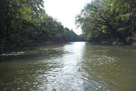 Chipola River