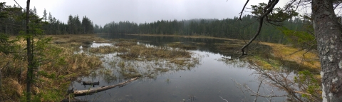 a panoramic photo of a pond ringed by spruce and fir trees