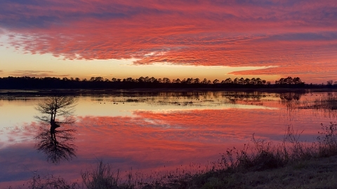 A bank of clouds lit scarlet-purple by sunset reflect on a glassy water surface surrounded by forest.