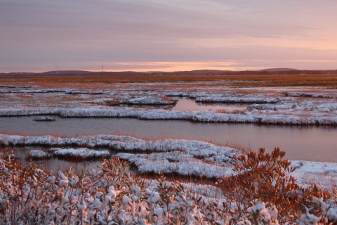 Pink and purple skies over snow-covered marsh and unfrozen water.