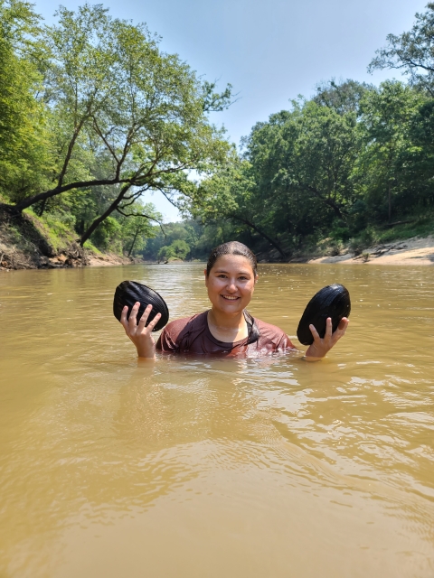 A woman stands in chest-deep water while holding two large black mussels above the water