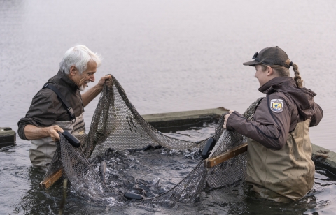 Employees gathering fish in hatchery pond at Gavins Point NFH 