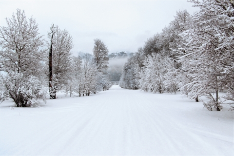 A winter landscape with a snow-covered road flanked with trees, heading toward a mountain and low clouds on the horizon.