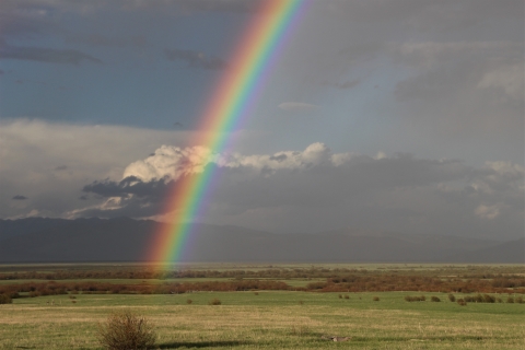 A brilliant rainbow lands on a green valley floor after a rainstorm.