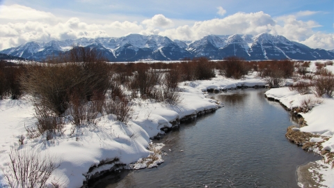 A creek flows through a snowy willowy landscape with mountains in the background.