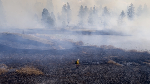 A firefighter patrols a burned area during a prescribed burn