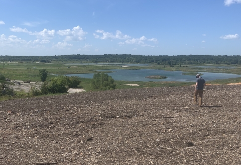 An FWS biologist stands on a large bed of mulch overlooking a water treatment wetland 