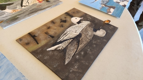 Emperor goose artwork entry for 2024 Alaska Jr Duck Stamp