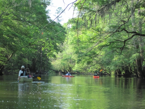 Kayakers on river
