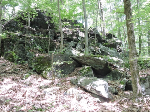 A natural formation of large, weathered rocks sits on a hill in the forest. 