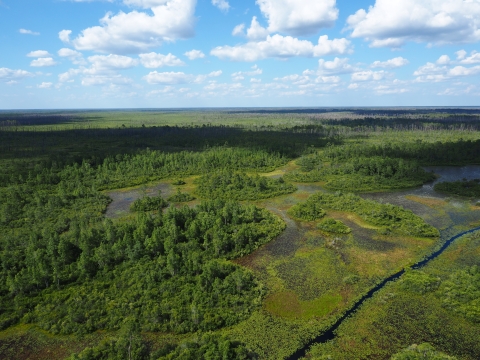 Aerial view of swamp prairie and tree houses with blue sky and clouds in background
