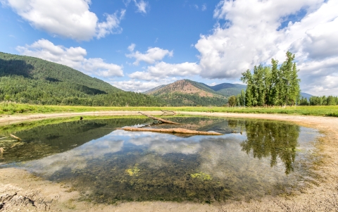 A small pond in a wetland below some mountains