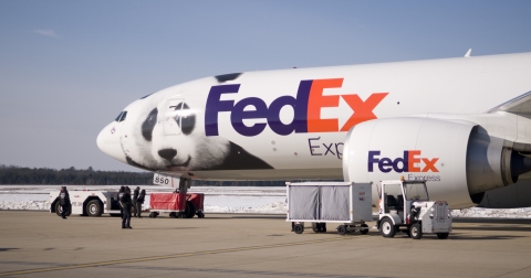 a FedEx Express plane featuring a giant panda face