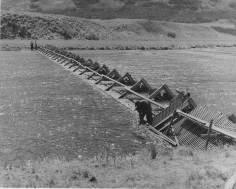 Fish weir stretching across a river with three people building it