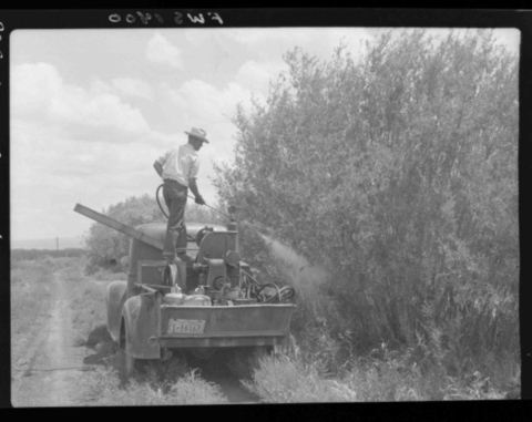 Man applying pesticide from truck