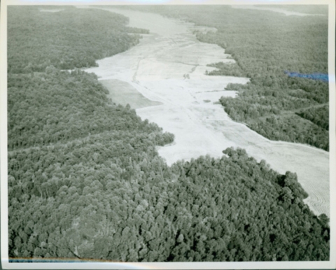 Aerial view of field between two forests