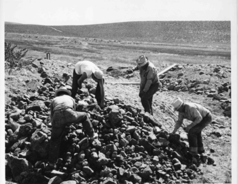 Four people with a pile of rocks