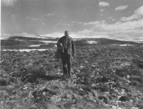 Man carrying a caribou calf in a field