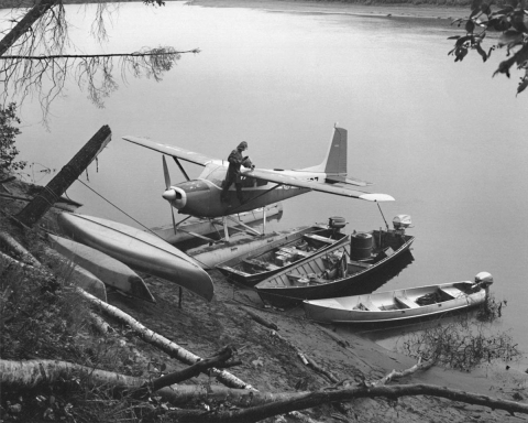 Seaplane and motorboats on shoreline