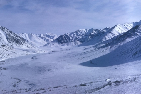 Snow covered mountains and river