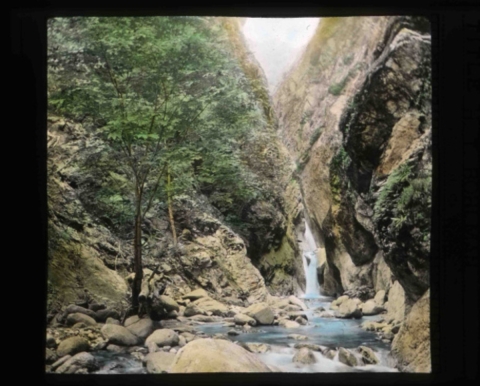 The habitat of California condor (Gymnogyps californianus: a small waterfall flows into a stream in a canyon of high cliffs.