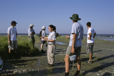 Several people wearing shorts or pants and sun hats stand in a marshy area.