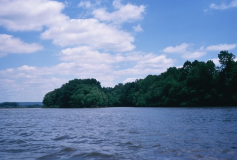 Lesage Island in the Ohio River
