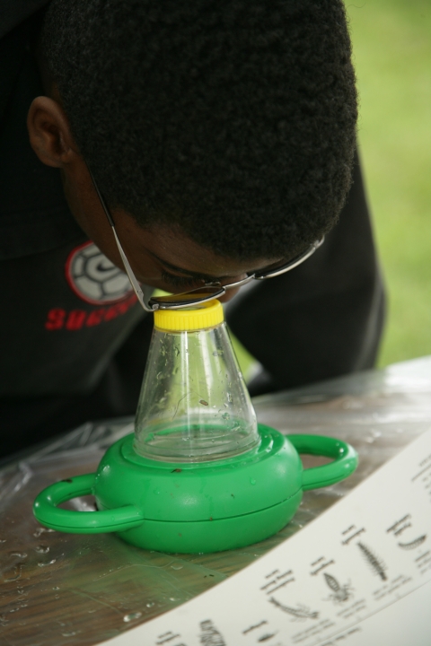 Young boy looks into a children's microscope